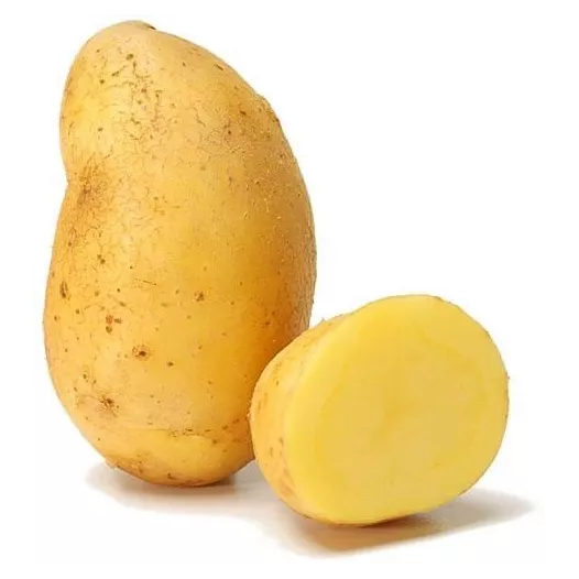 Kartoffel Nicola 1KG Bio (Früh-/Lagersorte)