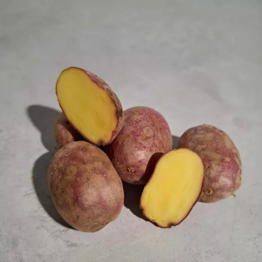 Kartoffel Valéry 1 kg Bio (halbfrühe Sorte) 