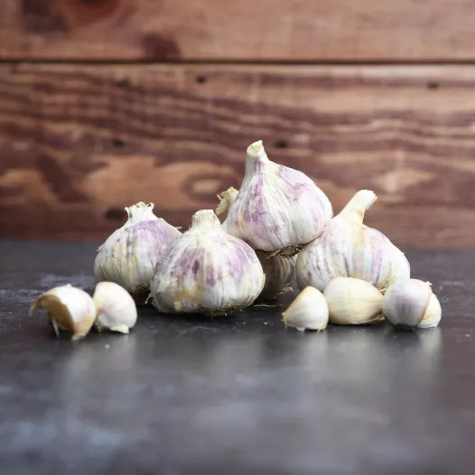 Paarse herfstknoflook Germidour Biologisch - Feggies