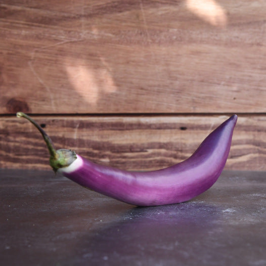 Aubergine Japanse Pickling zaden biologisch - Feggies