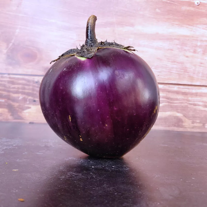 Aubergine Runde aus Valencia Samen Bio