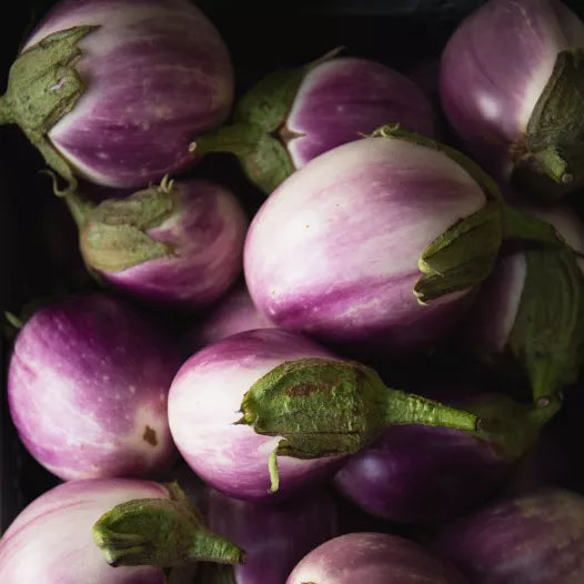 Aubergine Rotonda bianca sfumata di rosa Samen Bio 