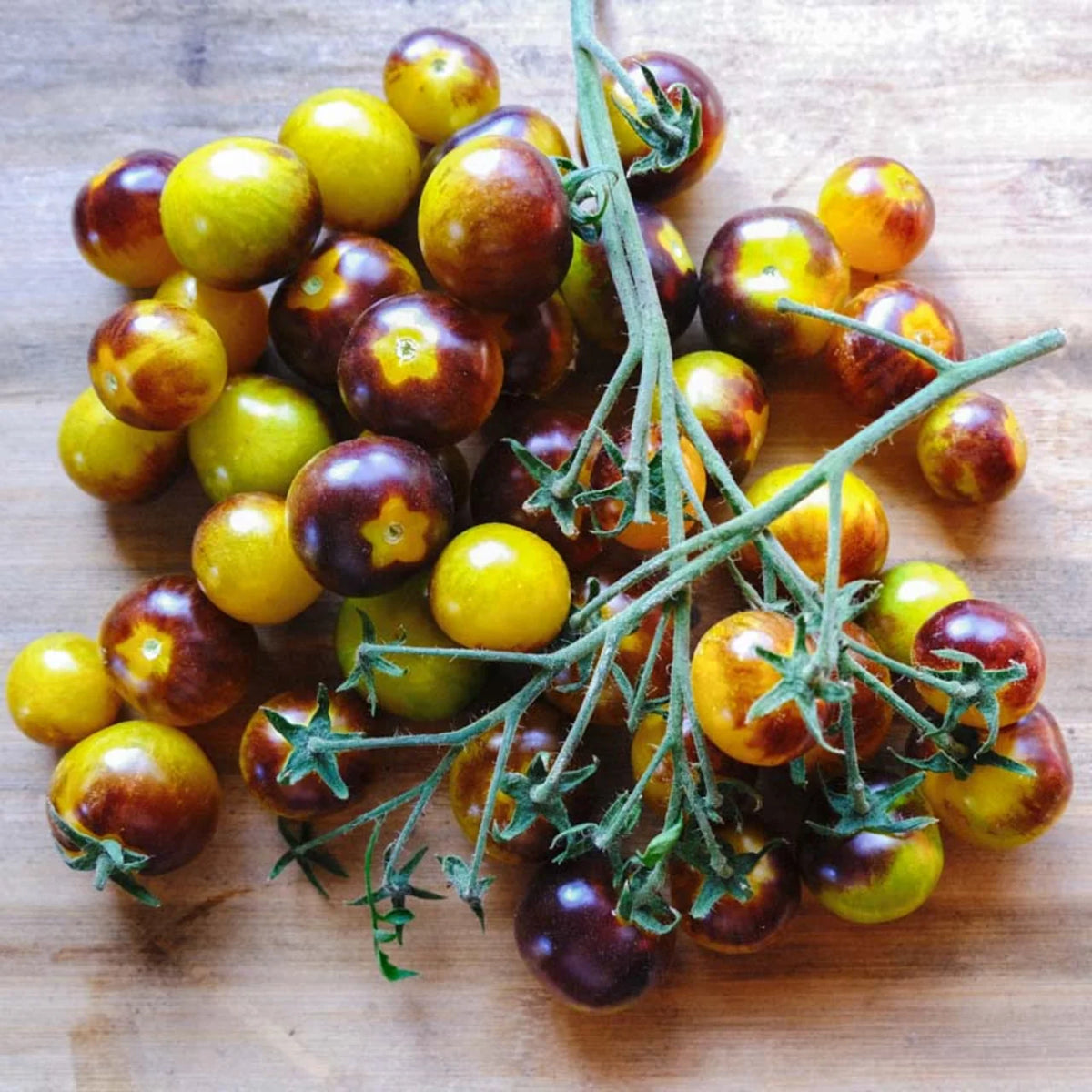 Awesome Emma Cherry – biologische cherrytomatenzaden - Feggies