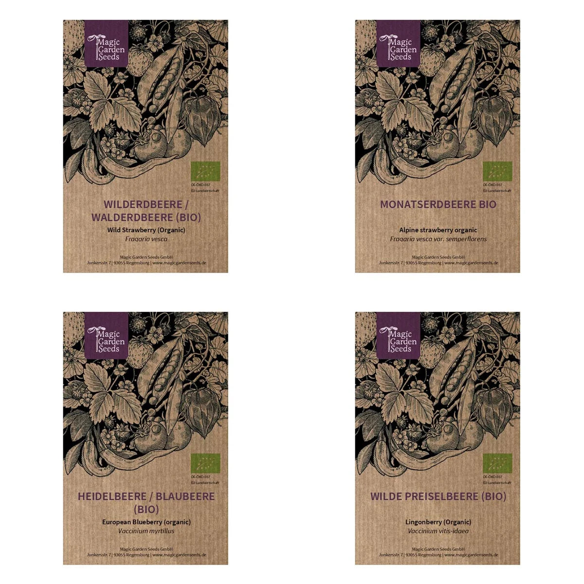 Beerenmischung - Samenset 