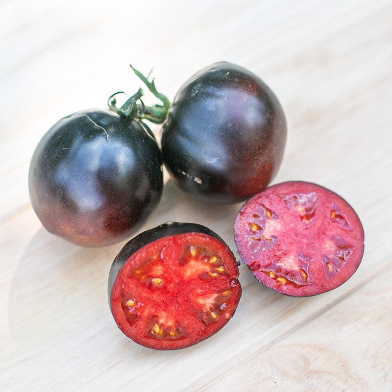Tomaat ‘Blue Dawg Indigo’ (Solanum lycopersicum) – biologische zaden - Feggies