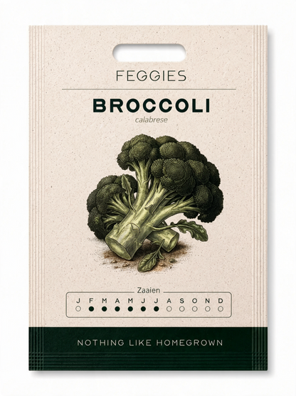 Broccoli calabrese – biologische groentezaden (doorplukker)
