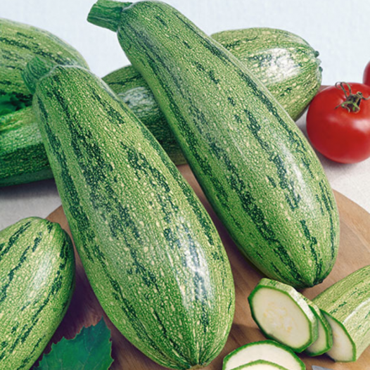 Courgette Caserta zaden biologisch - Feggies