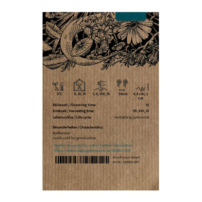 Samen des Roten Sonnenhuts 'Echinacea purpurea' aus biologischem Anbau