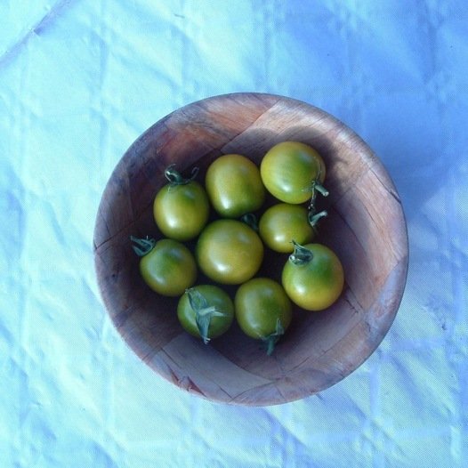 Kirschtomate Raisin Vert