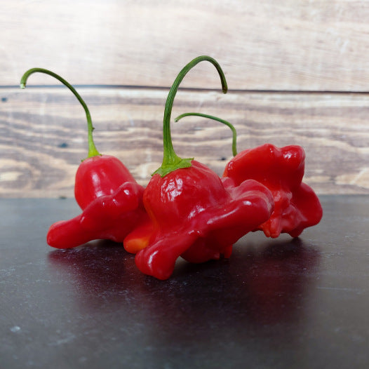 Peper Bishop crown zaden biologisch - Feggies