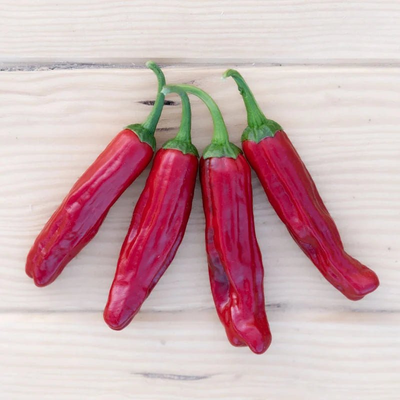 Milde rode/vroege chilipeper pepperoncini Biologisch - Feggies