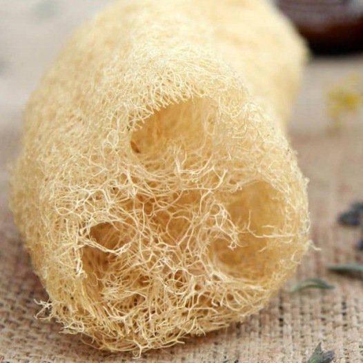 Pompoenspons Luffa zaden biologisch - Feggies