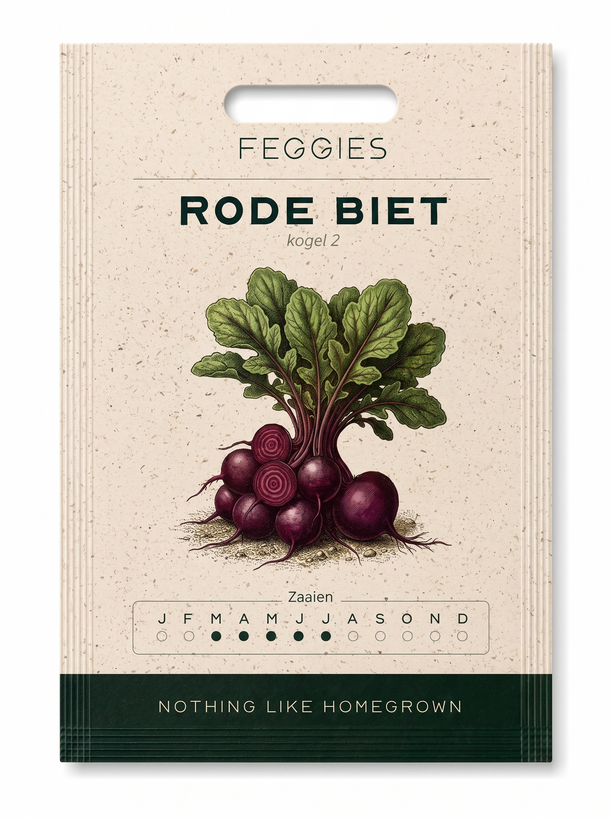 Rote Bete Kugel 2 – Bio-Gemüsesamen (rund und süß)