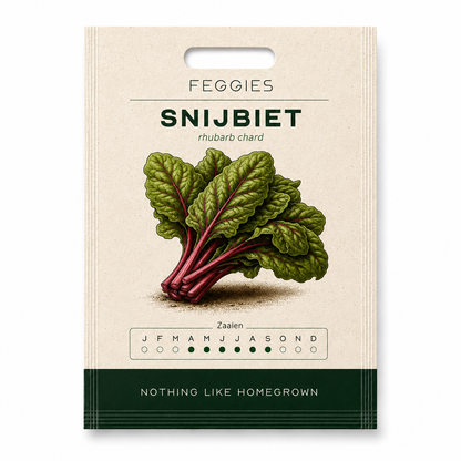 Snijbiet rhubarb chard – biologische groentezaden (kleurrijke stelen)