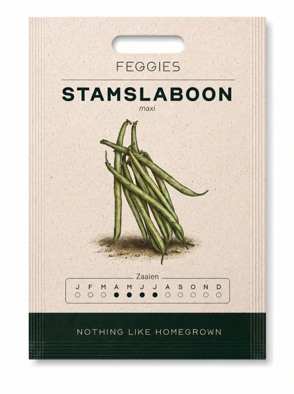 Stamslaboon maxi – biologische boonzaden (doorplukker)