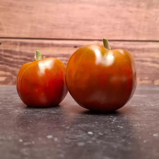 Samen der Tomate Noire Russe Charboneuse