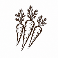 Drie biologische zaden