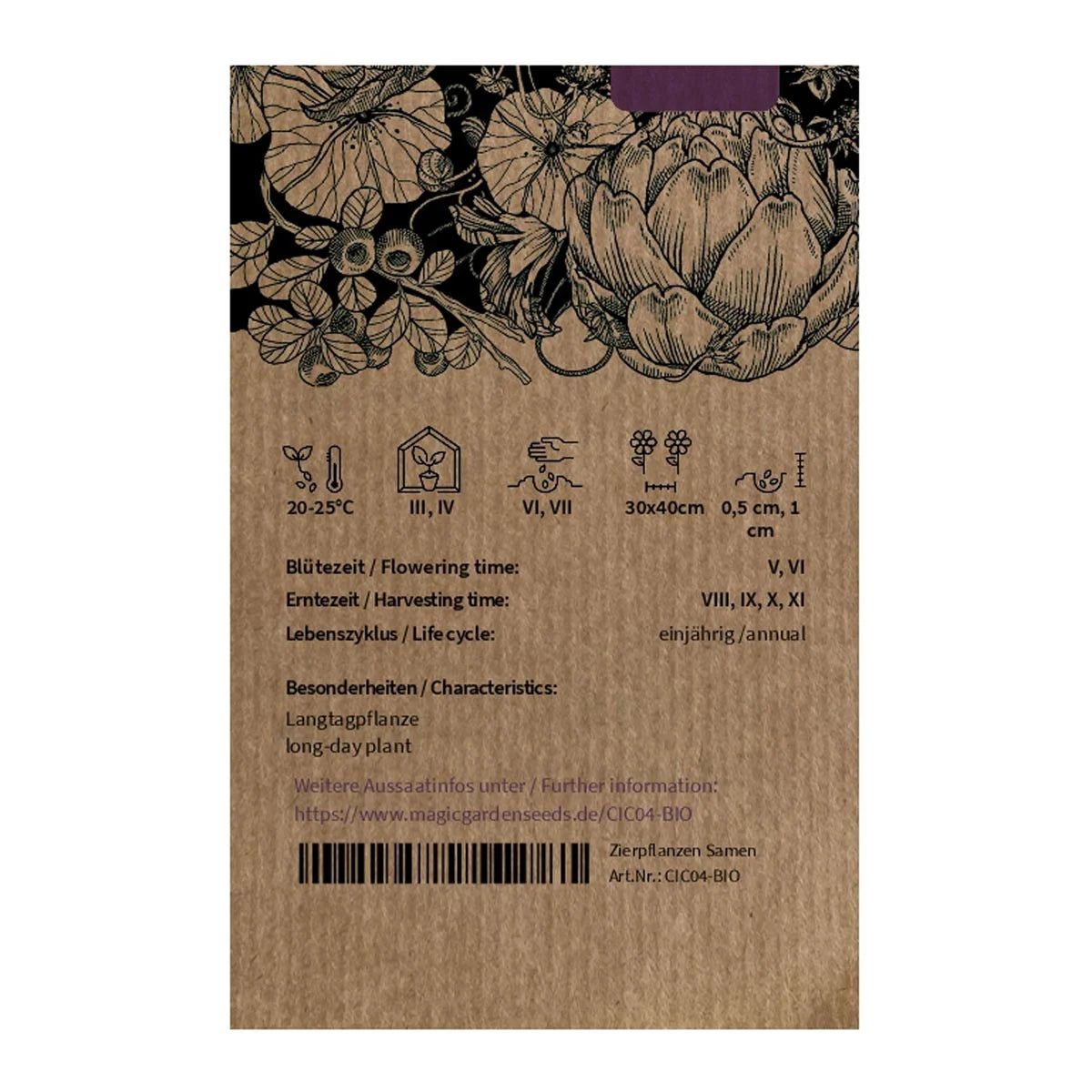 Groenlof Zuckerhut-Samen aus biologischem Anbau