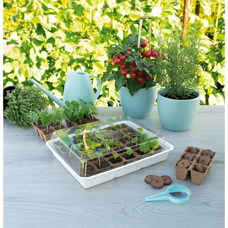 Eco kweekbak incl. 30 turfpotjes - Feggies