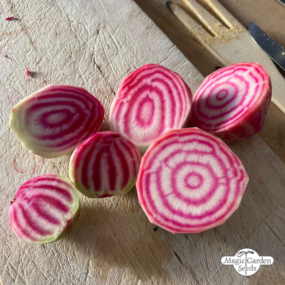 Rode biet 'Tonda di Chioggia' zaden biologisch - Feggies
