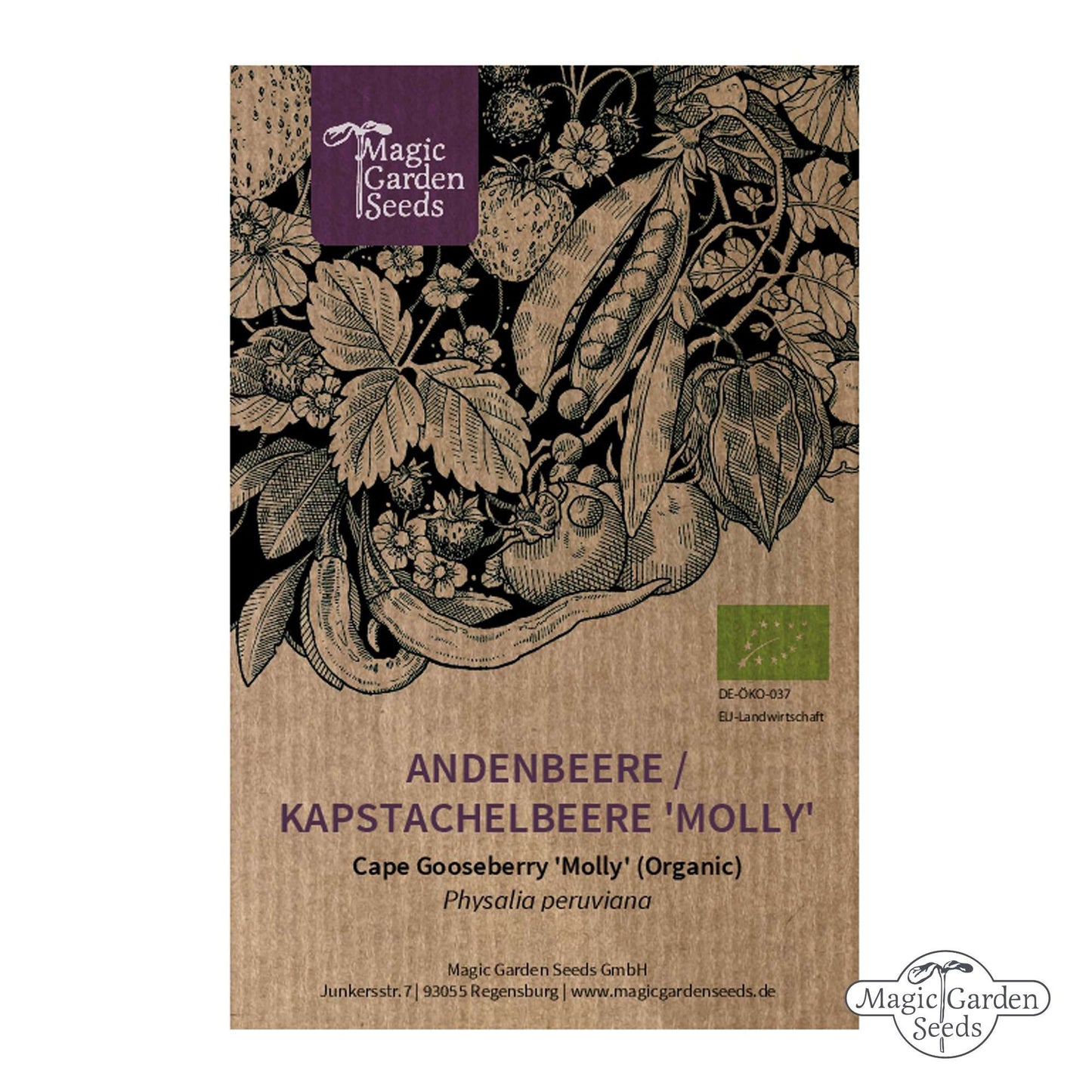 Kapstachelbeere / Stachelbeere 'Molly' Samen Bio