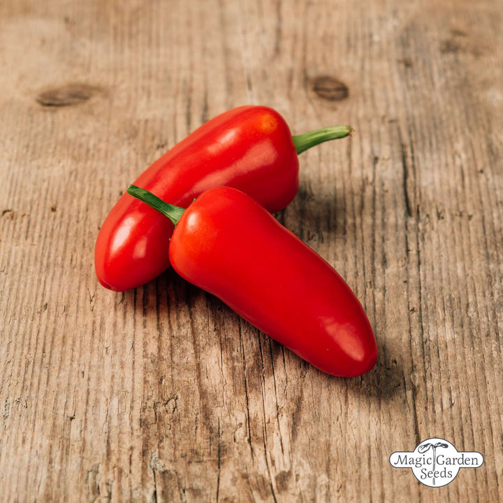 Jalapeño Chili Samen Bio