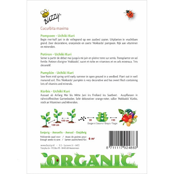 Organic Pompoen Uchiki Kuri zaden - Feggies
