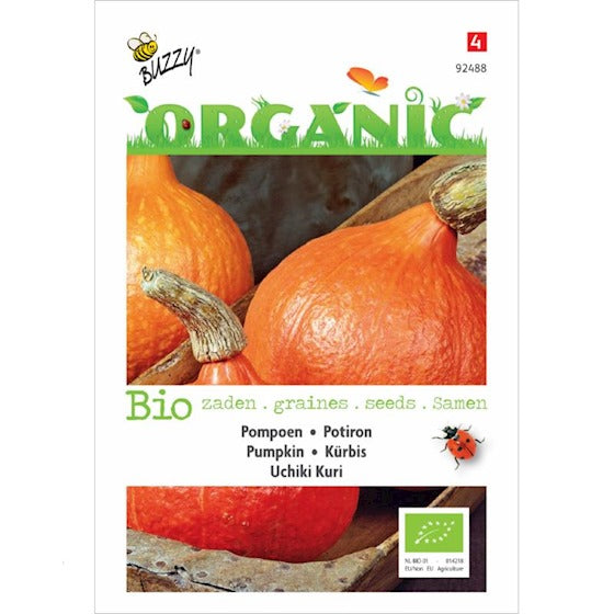 Organic Pompoen Uchiki Kuri zaden - Feggies