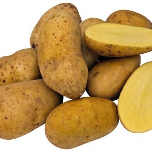 Kartoffel Charlotte 1KG Bio (Lagersorte)