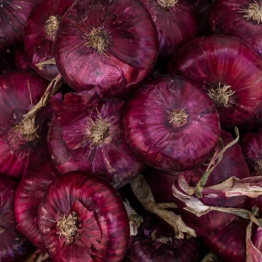 Rote Zwiebel aus Abbeville-Samen Bio