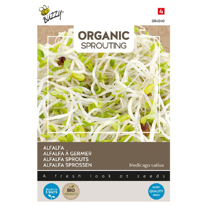 Bio-Keimsprossen Alfalfa Samen