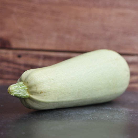 Zucchini weiß aus ägyptischen Samen BIO