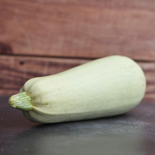 Courgette wit uit Egypte zaden biologisch - Feggies