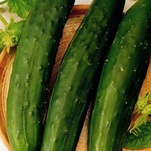 Komkommer Vert Long Maraicher zaden biologisch - Feggies