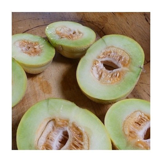 Melon Brodé Jenny Lind Samen Bio