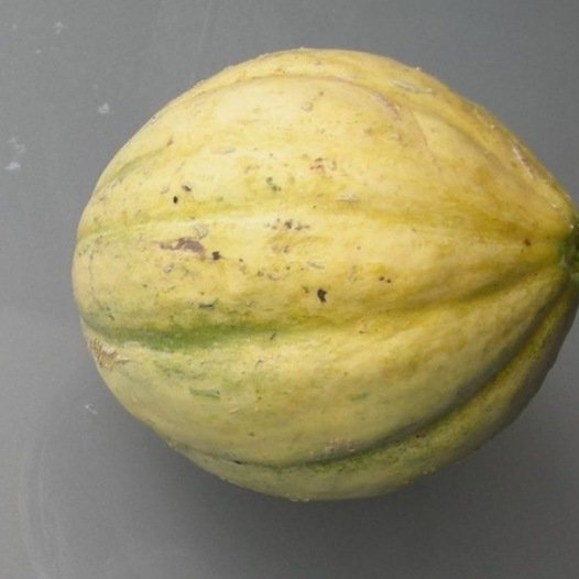 Melon Vieille France Samen aus biologischem Anbau