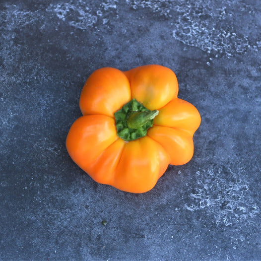 Paprika-Mandarinensamen Bio