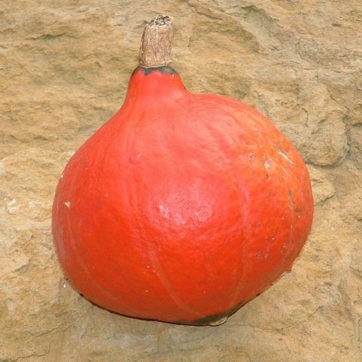 Pompoen Red Kuri zaden - Feggies