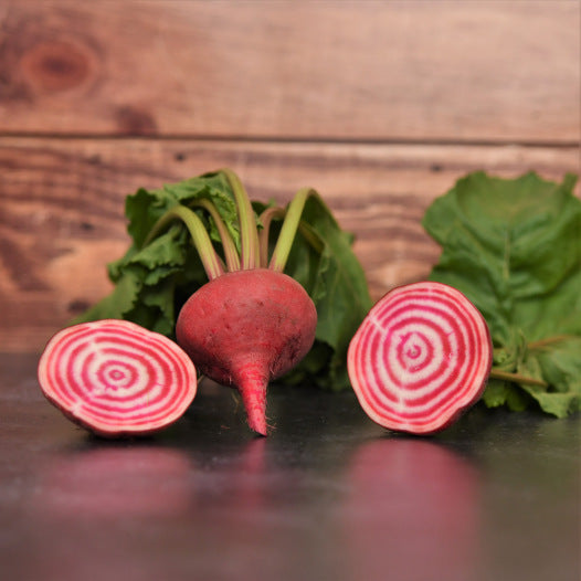 Rode biet Chioggia zaden - Feggies
