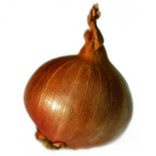 Schalotte Red Sun 250G Bio