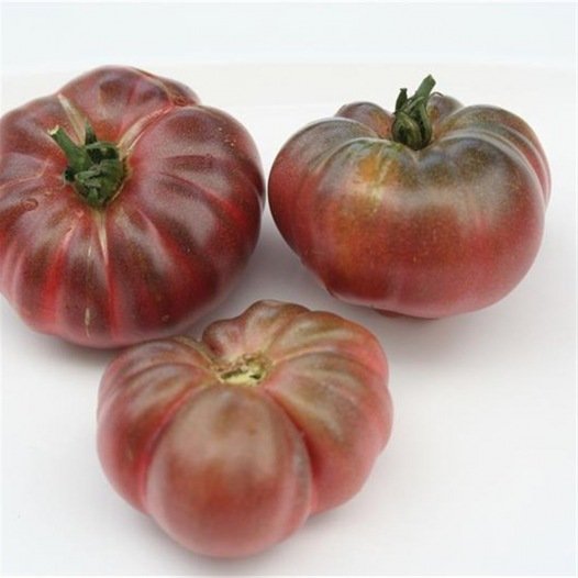 Tomaat Purple Calabash zaden - Feggies